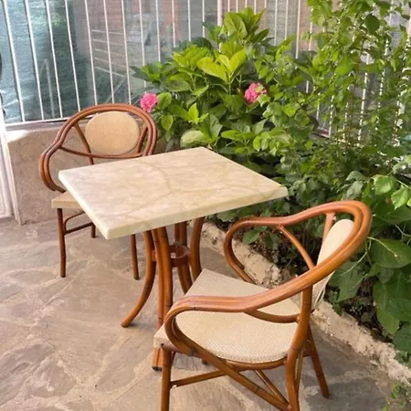 Joivy Little Garden Gattorno * ראפאלו